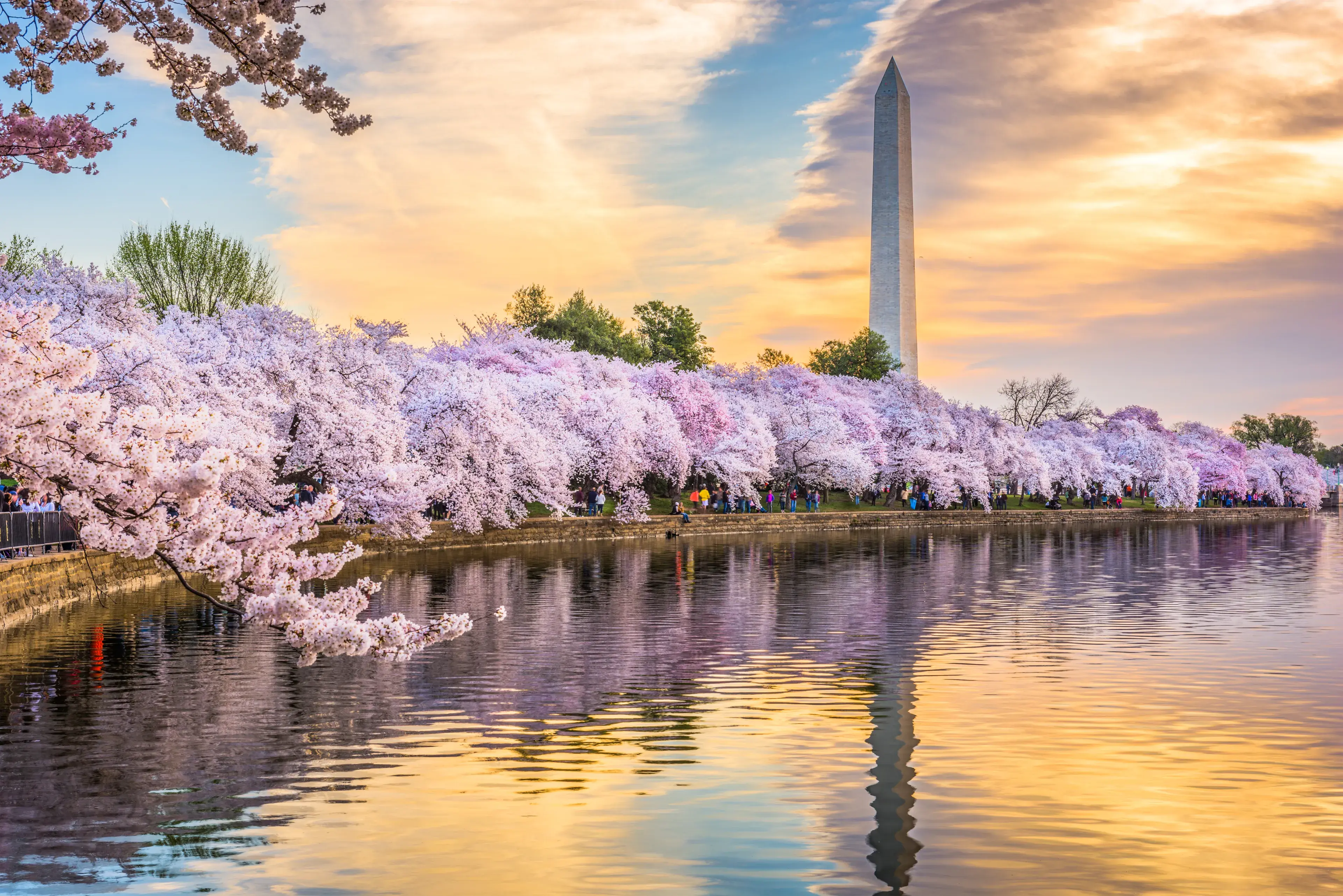 Best Washington hotels. Cheap hotels in Washington, Washington, D.C., United States