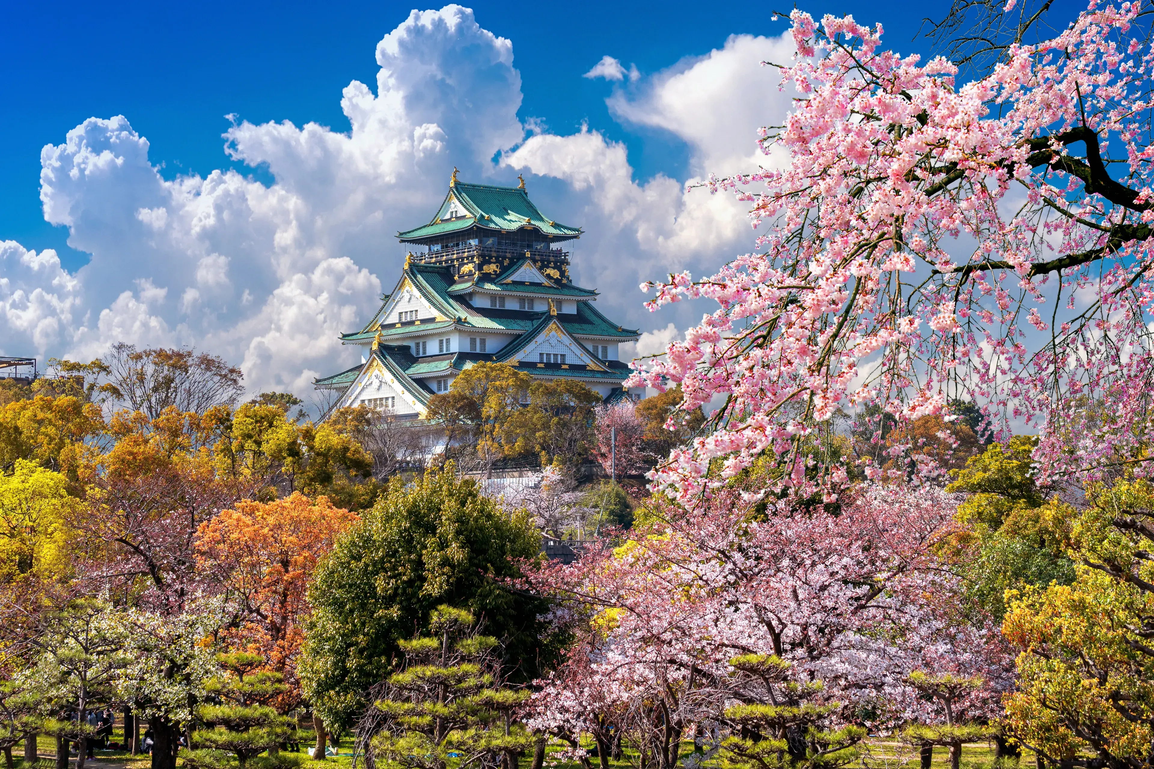 Best Osaka hotels. Cheap hotels in Osaka, Japan